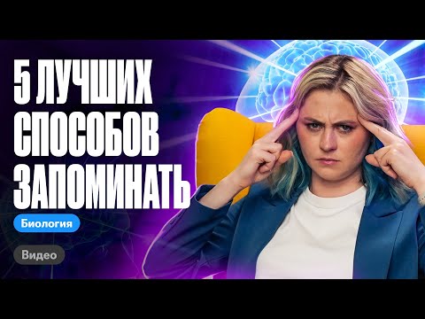 Видео: Как быстро запоминать материал. Секретные лайфхаки | ЕГЭ по биологии | Ксения Напольская 100бальный