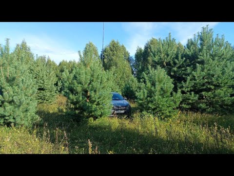 Видео: Слет Клуба Нижегородских Радиолюбителей  2025г