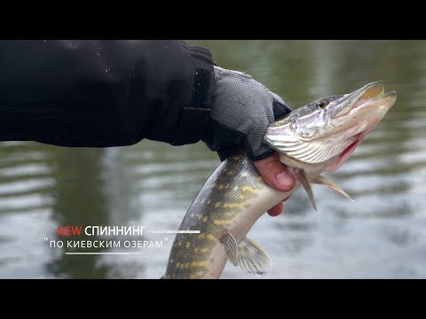 Видео: По озерам Киевского левобережья: Тельбин, Солнечное , Королек [NEW Спиннинг №29]