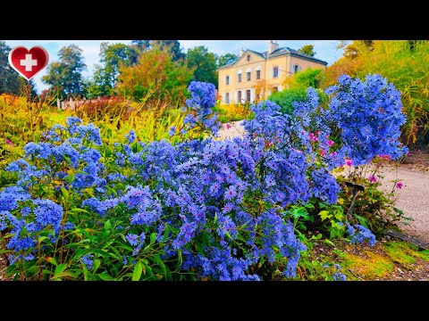 Видео: Прекрасная осенняя прогулка в Женевском ботаническом саду 🇨🇭 | Цветы, краски и моменты покоя [4K]