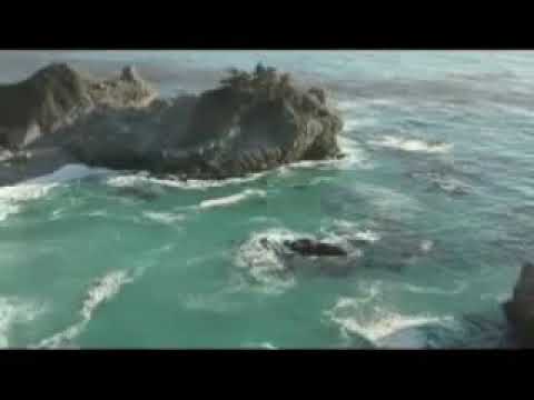 Видео: РСП ето круто)))