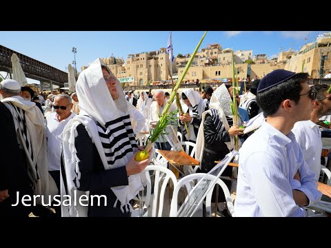 Видео: Иерусалим — Молитвы у Стены Плача во время Суккота!