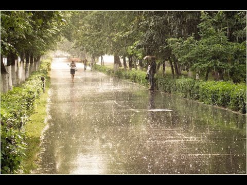 Видео: Көктемгі жаңбыр Меломен тобы