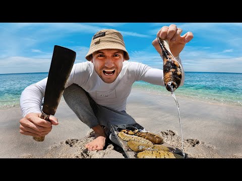 Видео: 24 ЧАСА НА НЕОБИТАЕМОМ ОСТРОВЕ с палаткой. Подводная охота для ВЫЖИВАНИЯ. Готовлю морские огурцы №64