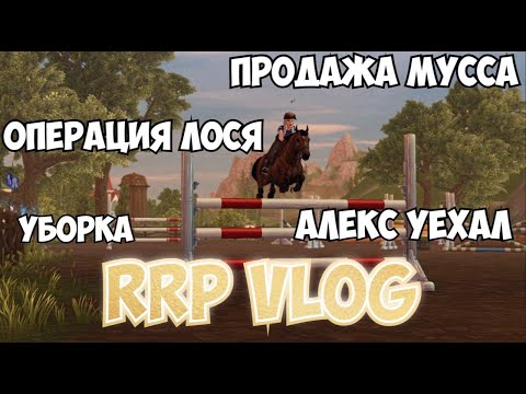 Видео: RRP VLOG|КОНОБЛОГ|STAR STABLE|ПРОДАЖА МУССА?