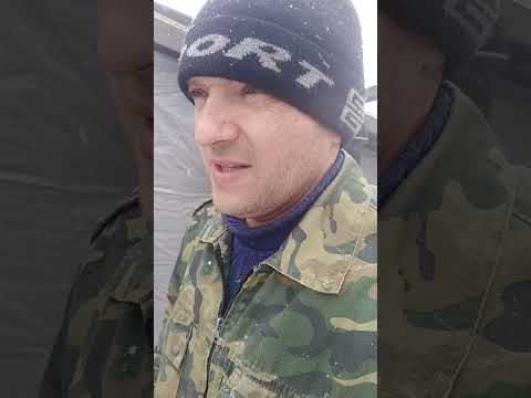 Видео: Диарея у ягнят. Тилозин 200.