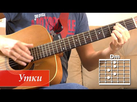 Видео: Как играть на гитаре песню "Утки". Александр Розенбаум.