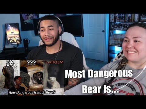 Видео: OtakuCouple реагирует на каждого медведя и его шансы удалить вас из жизни