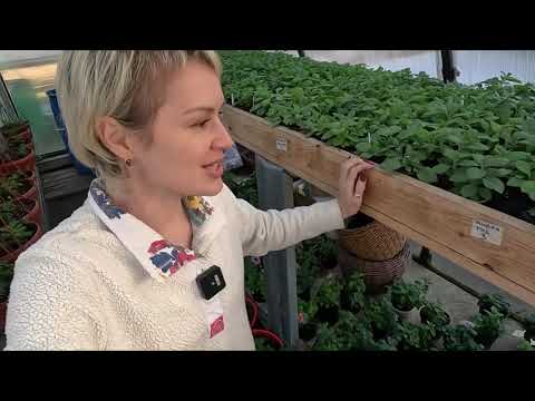 Видео: ОТВЕТЫ НА ВОПРОСЫ 2023