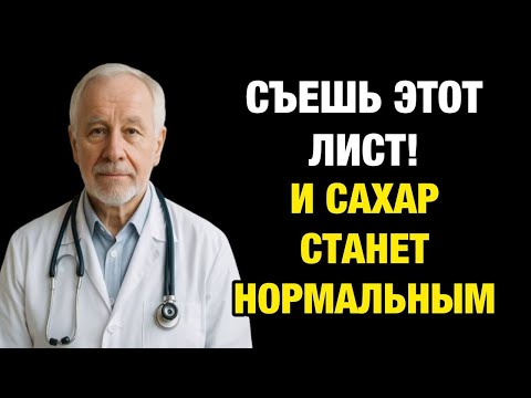 Видео: Чудо-лист, который борется с диабетом, жиром на животе и плохим холестерином!