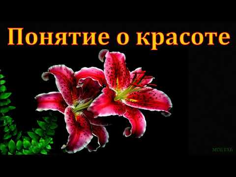 Видео: "Дело Его - слава и красота". М. А. Парафейник. МСЦ ЕХБ