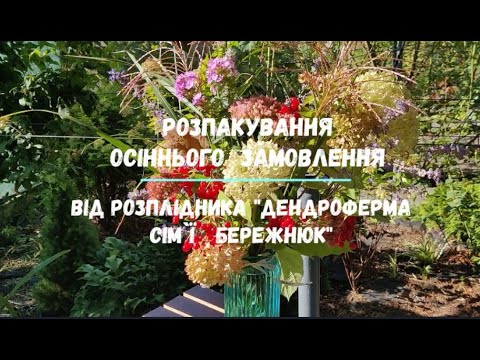 Видео: «Осінь у коробці | Нові рослини з дендроферми родини Бережнюків» #Криничанськасадиба
