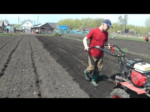 Видео: Мотоблок и лом ,гаранты урожая. Отчёт за 21 год .Часть 2.