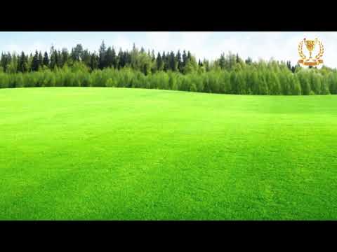 Видео: Устраните боль неудач, потерь, предательства