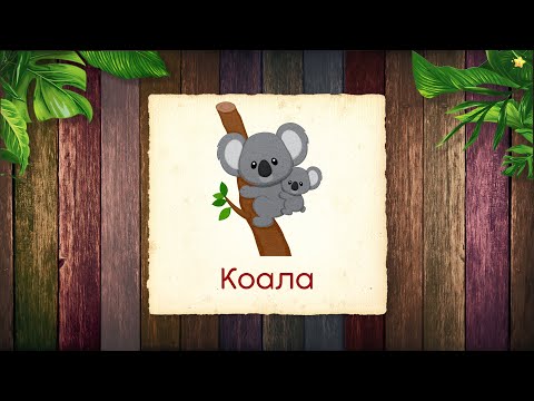 Видео: Учим Животных Австралии - Карточки Домана - Раннее развитие для детей 0+ Как говорят животные