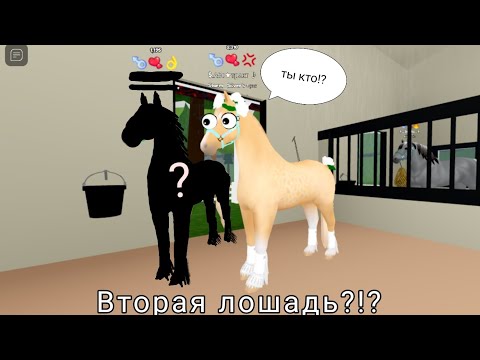 Видео: Вторая лошадь!?🤯/ Влог Wild horse island 🏖️