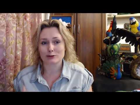 Видео: Бесплатный мастер-класс "Брошки совушки". Татьяна Шмелёва