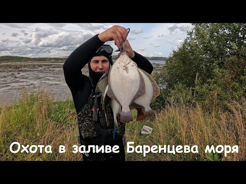 Видео: ВОДА КРИСТАЛЬНАЯ / КАМБАЛЕ НЕ УЙТИ / UNDERWATER HUNTING