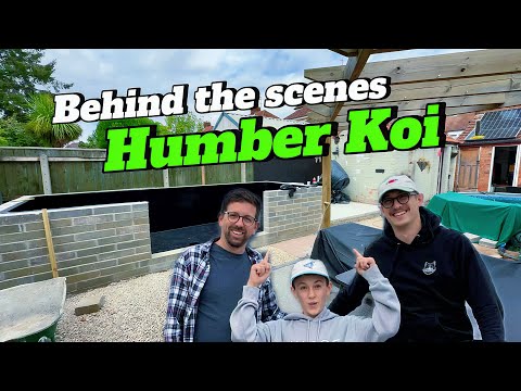 Видео: За прудом: день в Humber Koi!