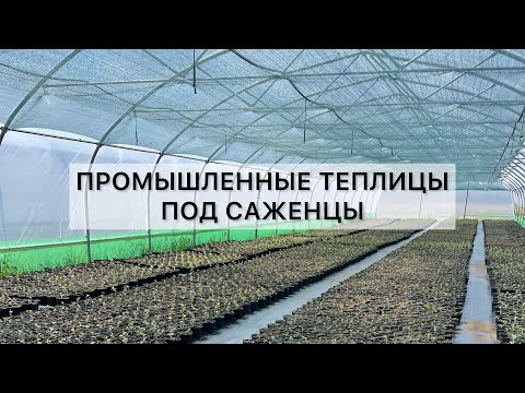 Видео: Постройка промышленных теплиц от А до Я