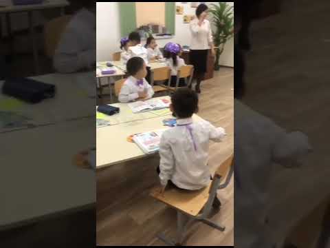 Видео: 8 ноября 2025 г.