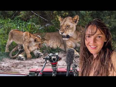 Видео: Лучше, чем Масаи-Мара?! Самое недооценённое сафари в Кении