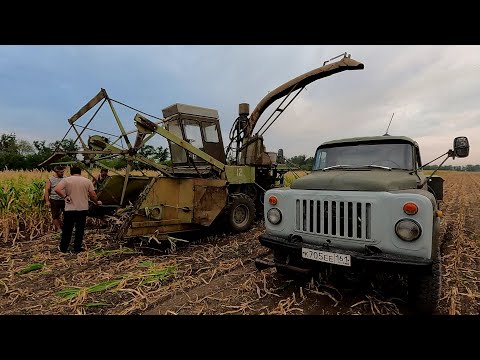 Видео: Уборка кукурузы на силос продолжается, но не все так гладко как хотелось бы!