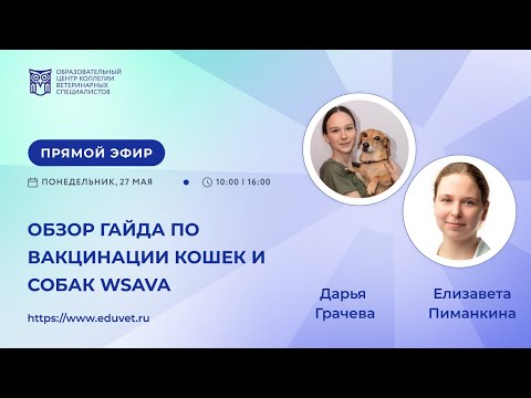 Видео: Обзор гайда по вакцинации кошек и собак WSAVA — Грачева Дарья