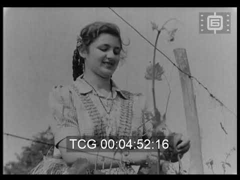 Видео: Прегледъ 165 / Newsreel 165 (1944)