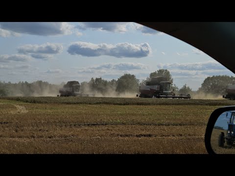 Видео: Августовские выходные в деревне 🙃