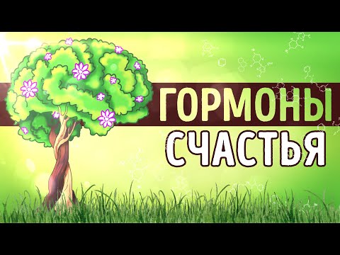 Видео: «Гормоны счастья». Лоретта Грациано Бройнинг | Саммари ®
