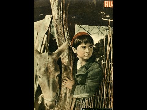 Видео: Лурджа Магданы (1955) фильм