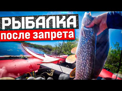 Видео: Куланотпес, открываем сезон по щуке. Баня на рыбалке, нашли раков