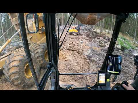 Видео: Еще одна лужа за болотистой местностью
