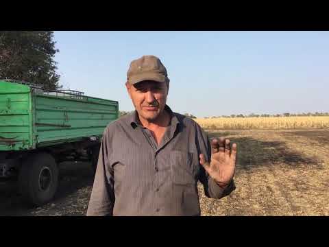 Видео: Рідкі добрива на Сіву Нову. Посів в суху землю