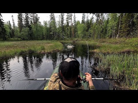 Видео: Рыбак добрался до нехоженых мест и ОФИГЕЛ. Рыбалка на спиннинг на лесной реке. Сплав по таёжной реке