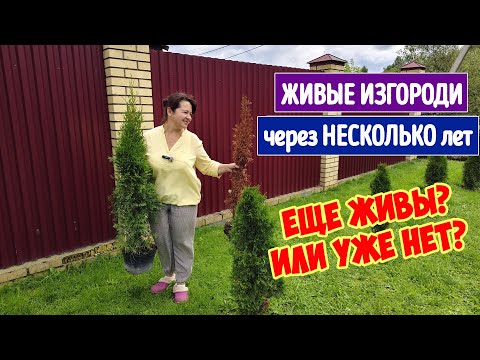 Видео: НАСАЖАЛИ ЗА ЗАБОРОМ. А ОНО НАМ НАДО?