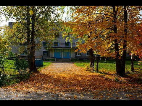 Видео: Малая Родина! ул Ленина пгт. Лесной. 27. 09. 2022год