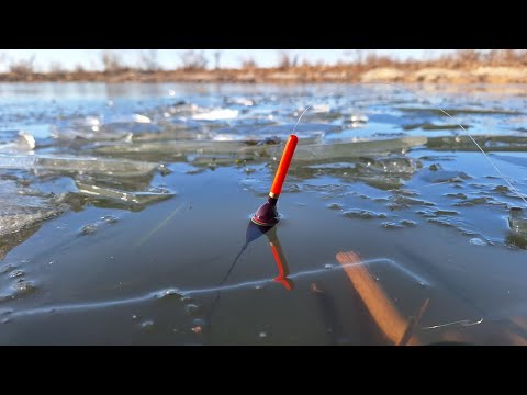Видео: Ломаю кригу і ловлю на ПОПЛАВОК. Зимова плітка з кожного закиду. Роздача плотви. Риболовля 2025