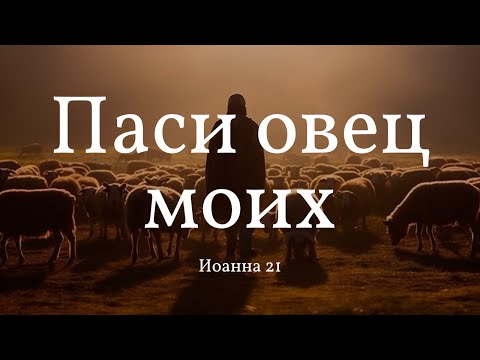 Видео: "Паси овец моих" | Алексей Коломийцев