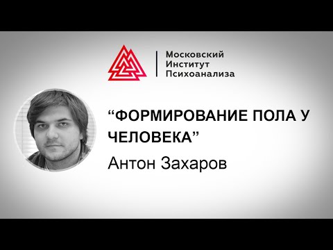 Видео: Лекция Антона Захарова "Формирование пола у человека". Проект РЕБЕНОК