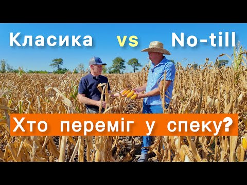 Видео: Посуха все розставила по місцях: No-till проти класики на кукурудзі