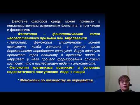 Видео: Биология 4.Генетика. Взаимодействие генов