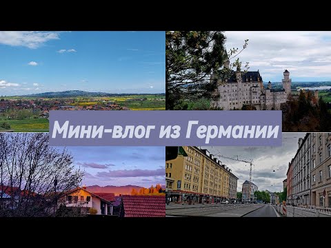 Видео: ❤️Мини влог (Германия)