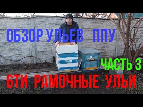 Видео: какой улей лучше улей 6-ти рамочный улей ппу . ппс 8ми и 10ти рамочный ульи на 2 семьи зимовка пчел