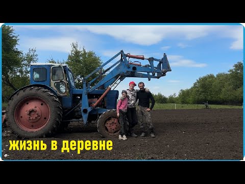 Видео: Посадка картошки не удалась, сначала соседям потом себе, жизнь в деревне