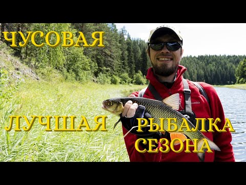 Видео: ЧУСОВАЯ. ЛУЧШАЯ рыбалка сезона у камня Пещерного.