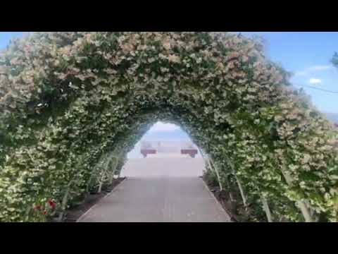 Видео: Поградец – Скриено богатство на езерото Охрид | Туристички водич низ Албанија @Информација.мк