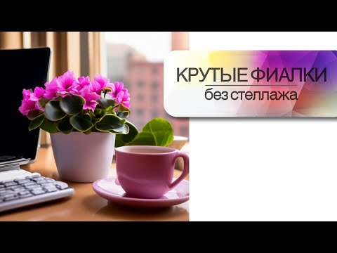 Видео: Крутые фиалки без стеллажа. Оборудуем уголок для выращивания сенполий круглый год