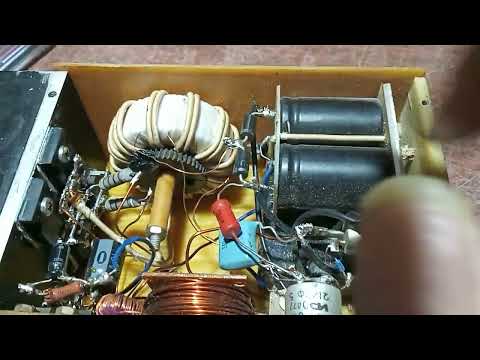 Видео: Бессмертный котёнок